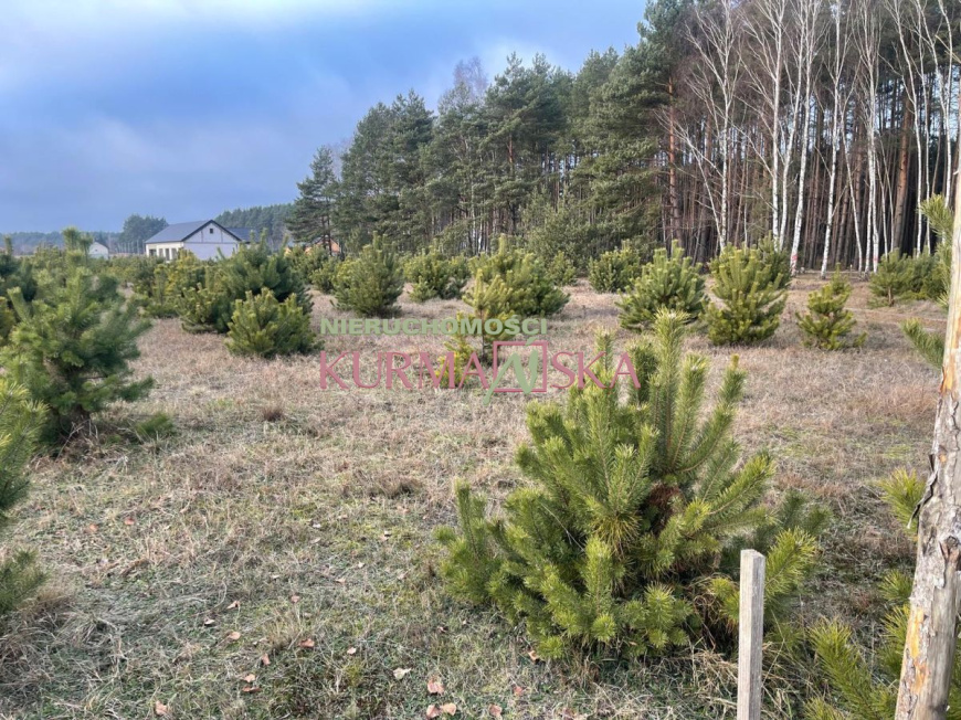 Działka budowlana Czarna gmina Zabór