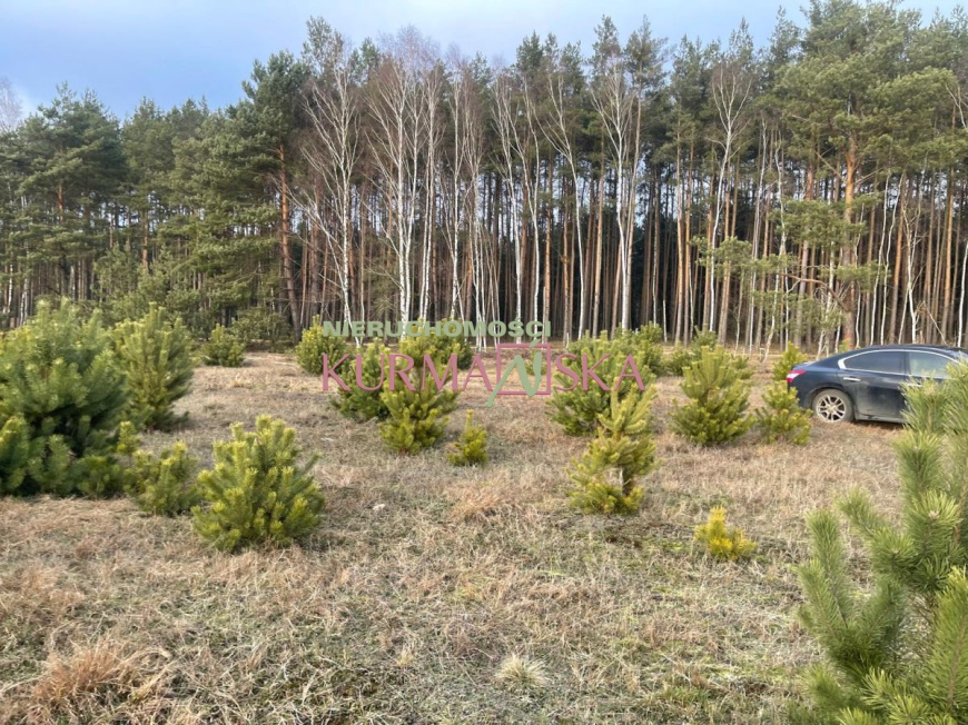 Działka budowlana Czarna gmina Zabór