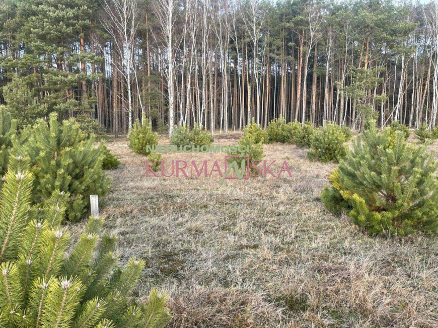 Działka budowlana Czarna gmina Zabór