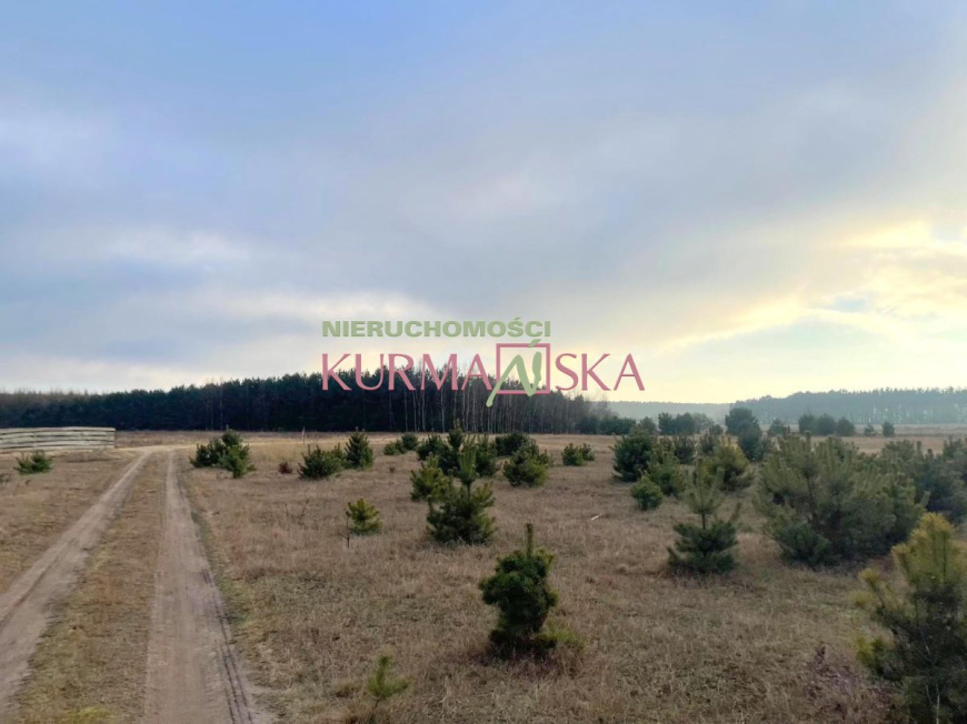 Działka budowlana Czarna gmina Zabór