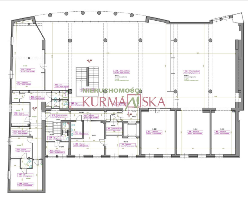 Lokal użytkowy w centrum