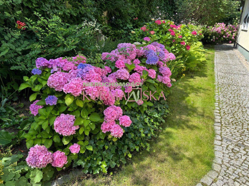 Rezydencja w Zielonej Górze