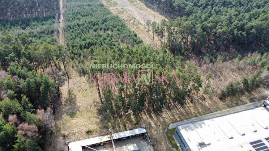 Działka we wsi Słone