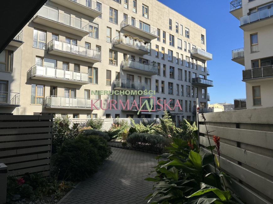 Mieszkanie  na wynajem, Zielona Góra, Centrum, 44.65 m2